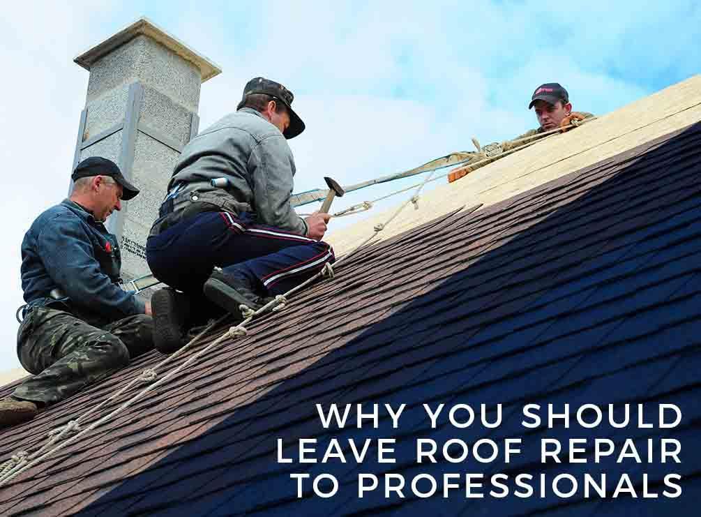 Why You Should Leave Roof Repair To Professionals