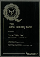 2009 Partner in Quality Award