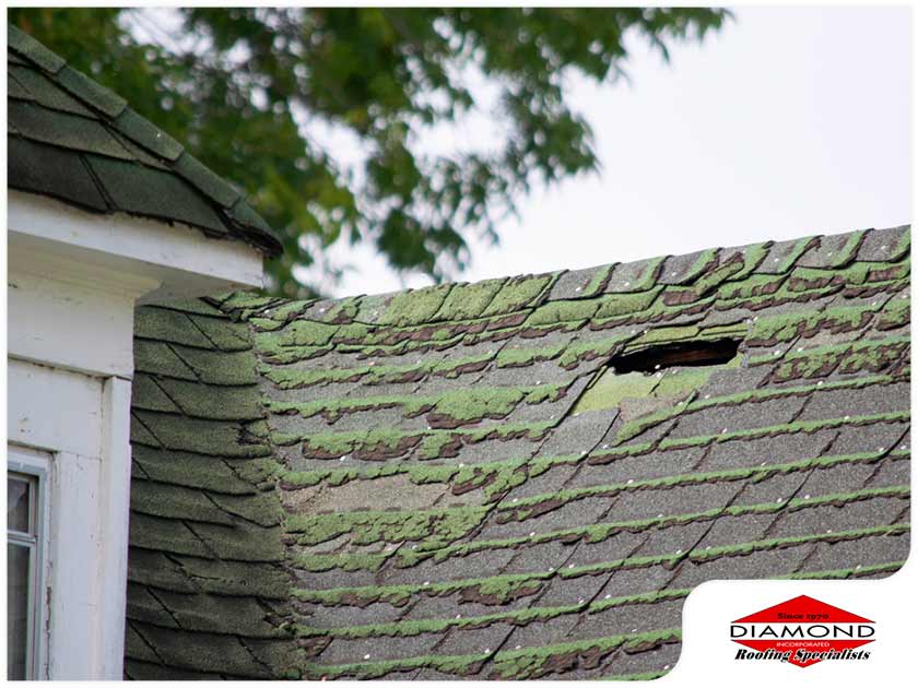 What High Humidity Does to Your Roof